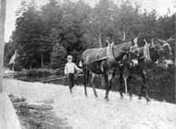 boy with mules on the canal