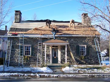 Fort Decker roof