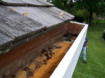 Fort Decker roof