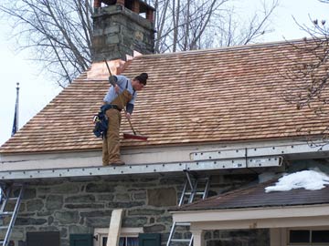 Fort Decker roof