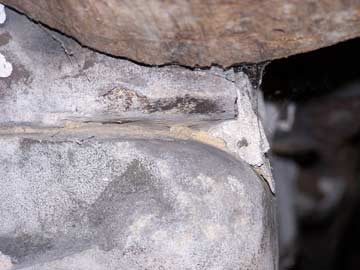 Fort Decker roof