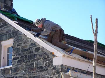 Fort Decker roof