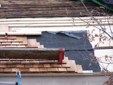 Fort Decker roof